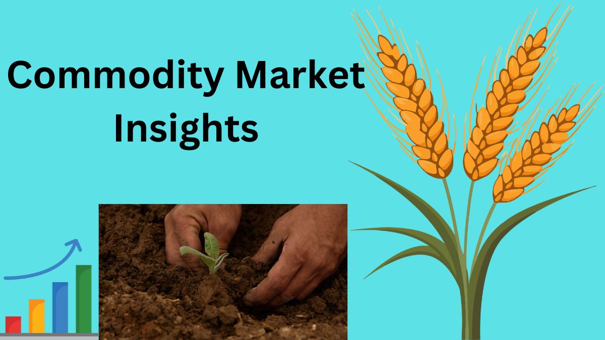 Commodity Market Insights