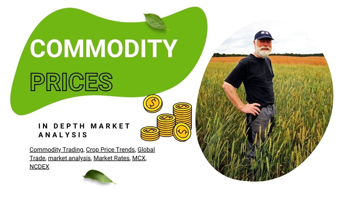 In-depth Market Analysis of Commodity Price