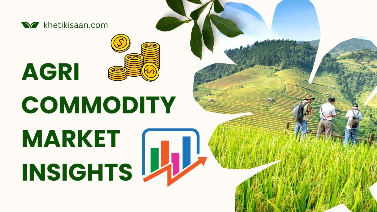 Agri Commodity Market Insights