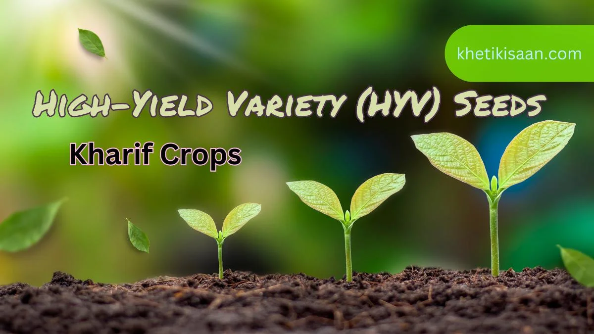 High-Yield Variety (HYV) Seeds For Kharif Crops