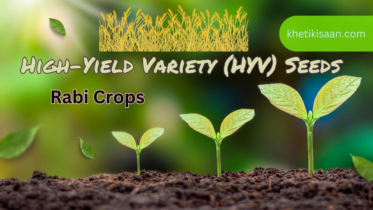 HighYield Variety (HYV) Seeds KhetiKisaan