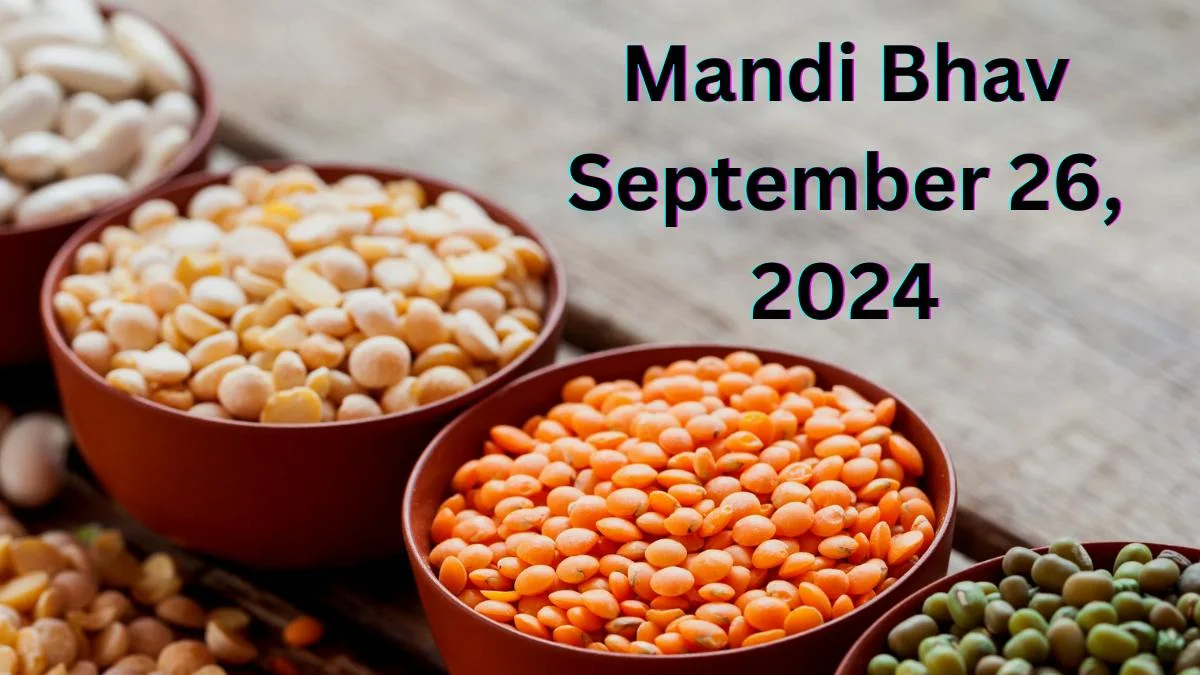 Mandi Bhav 26 September 2024