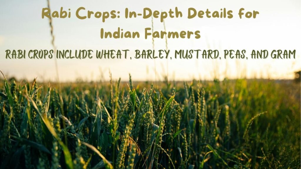 Rabi Crops: In-Depth Details for Indian Farmers - KhetiKisaan