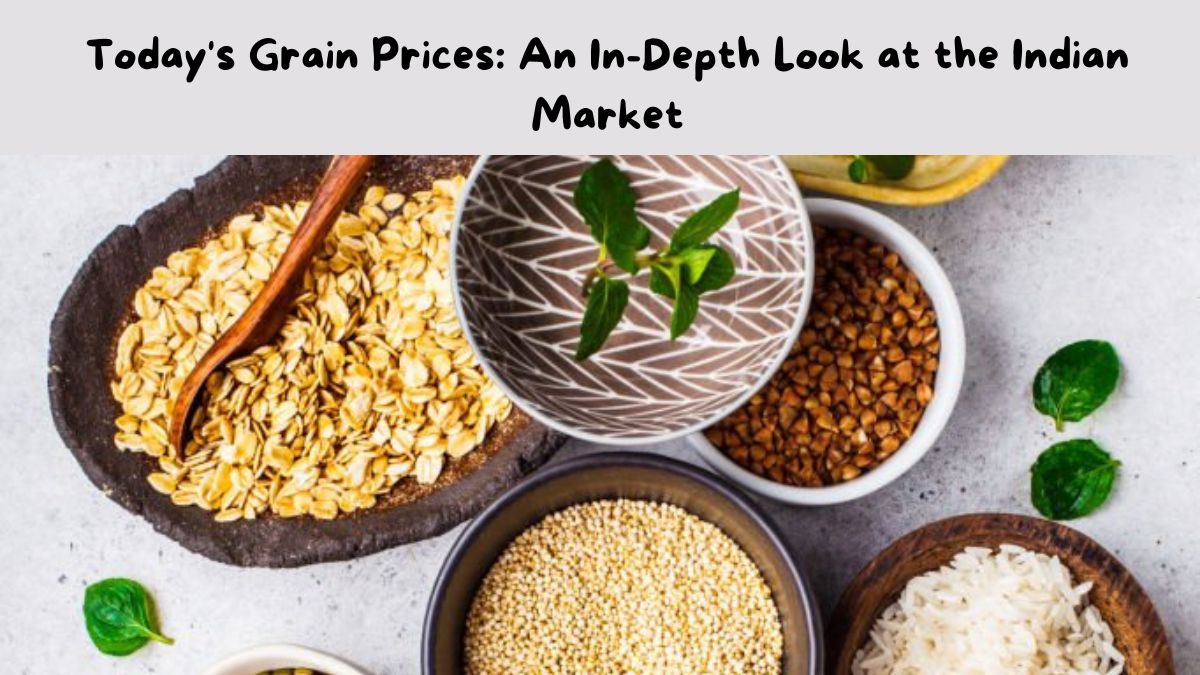 Today's Grain Prices: Look at the Indian Market