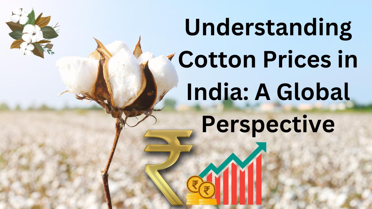 Cotton Prices in India