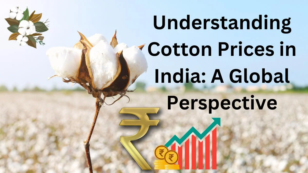 Cotton Prices in India
